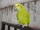 Avatar do usuário