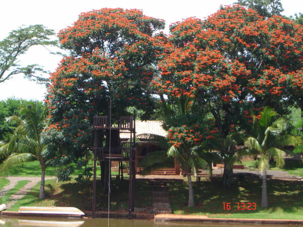 dsc09880.jpg