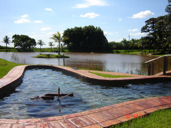 dsc00201.jpg