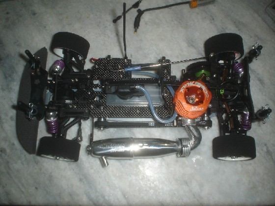 alcantara1.jpg