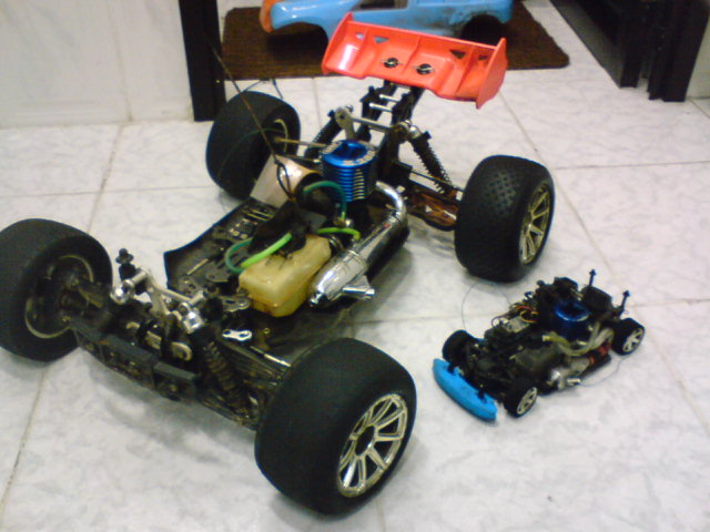 edy movel (2).jpg