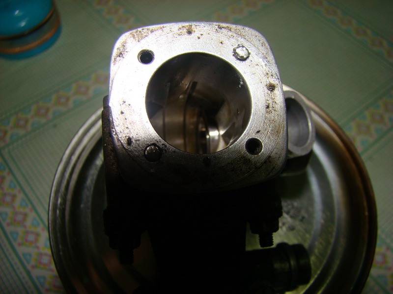 09.03.2010 009_resize.jpg