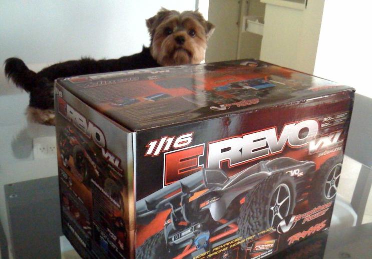 Tinha gente de olho no novo brinquedo!