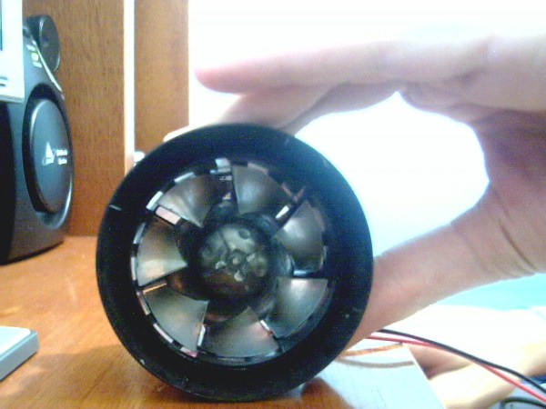 l (600 x 450).jpg