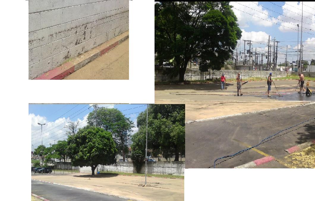 resultado da chuva.jpg