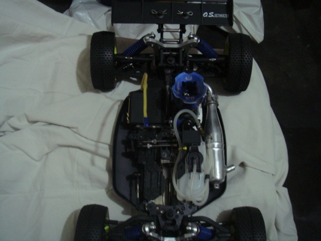 olha o bicho sem roupa...rsrsrrs