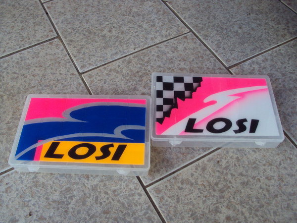 pintura losi.jpg