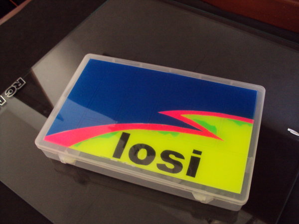 pintura losi 1.jpg