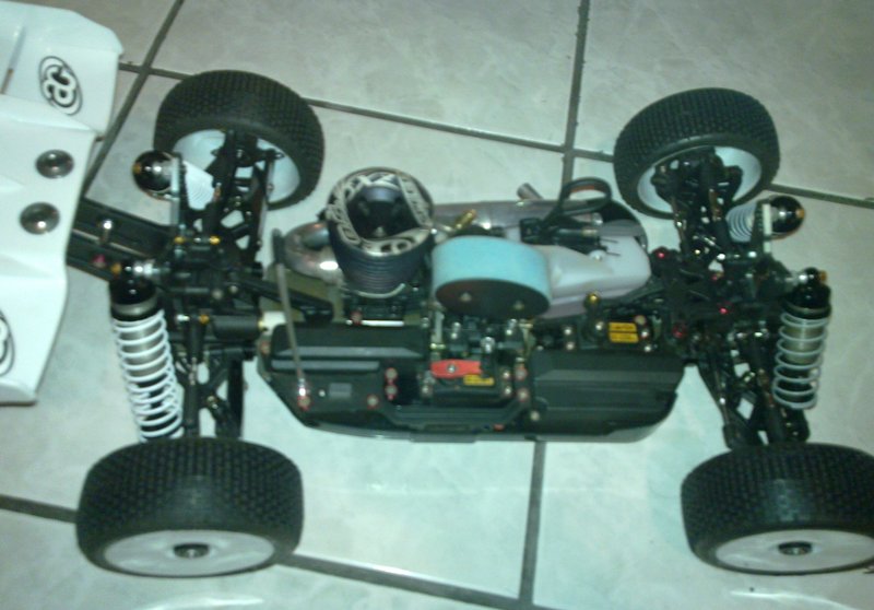 agama 4.jpg
