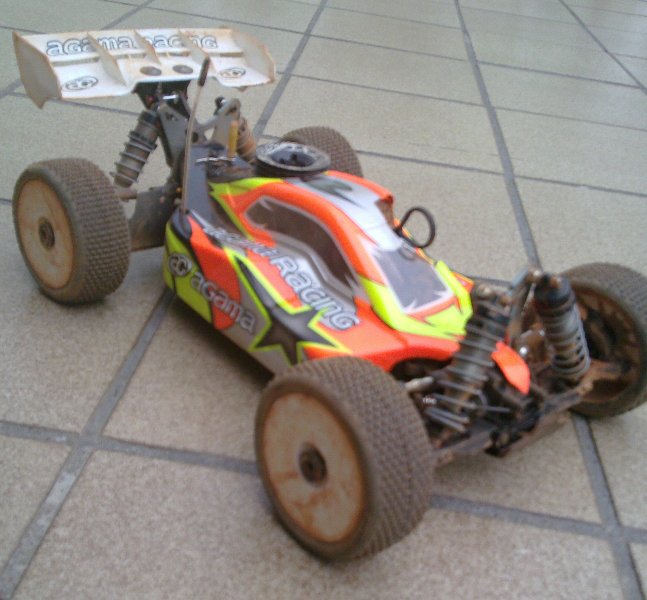 agama 7.jpg