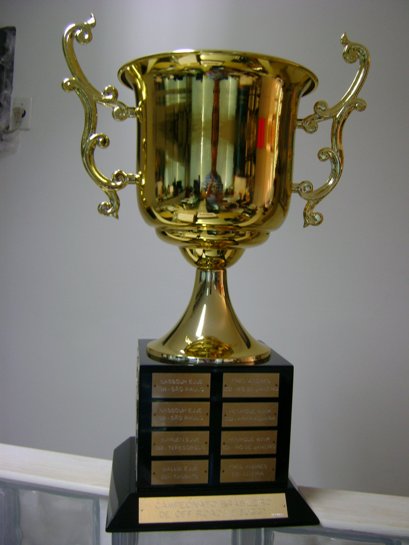 brasileiro2011trofeu1.jpg