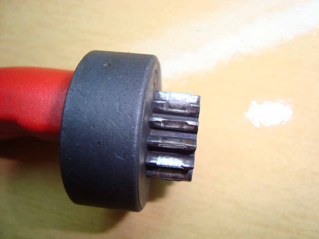 pinhão1