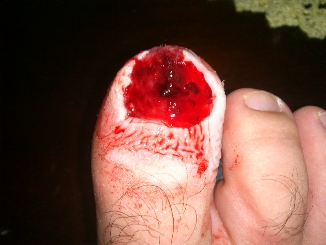 dsc_0088.jpg