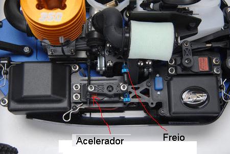 losi - 02.jpg