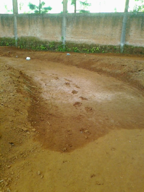 foto0167.jpg
