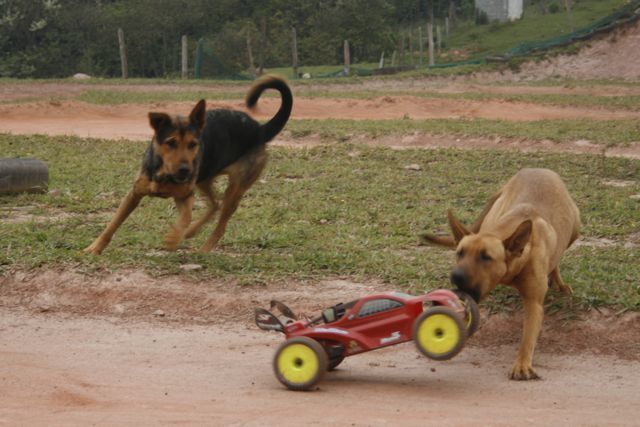 gandulas da aerosampa.jpg