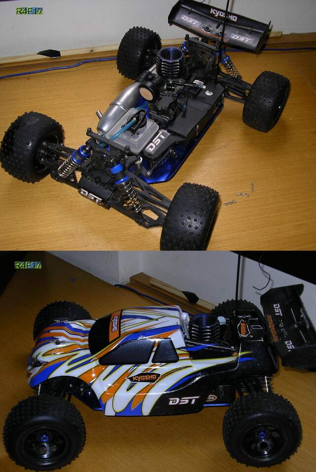 dst (640 x 957).jpg